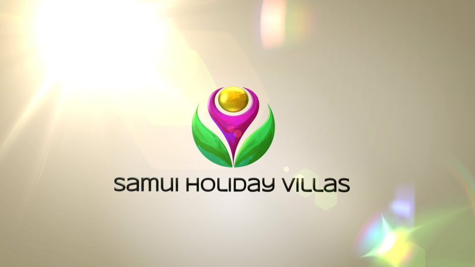 shv-logo-design shv-logo-design